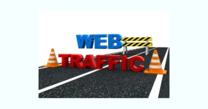 Why my website is not getting traffic?